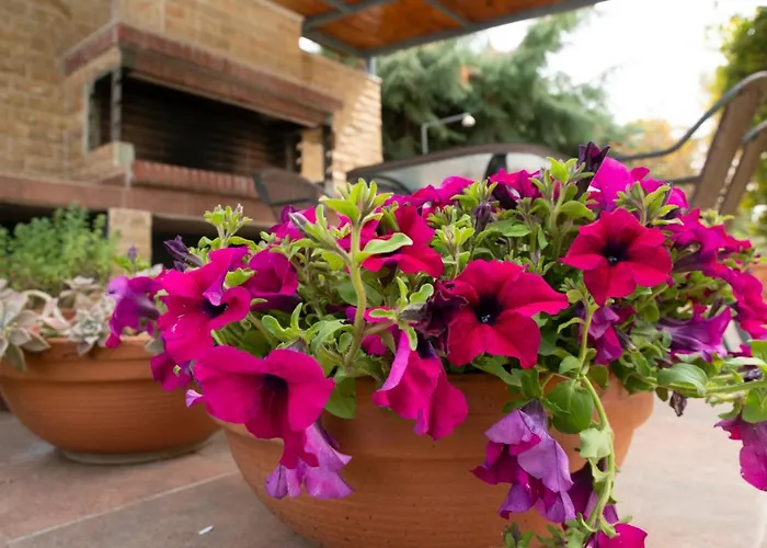 Сasa de vacaciones Emerald